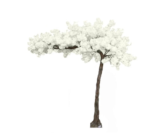 White Tree Kissing