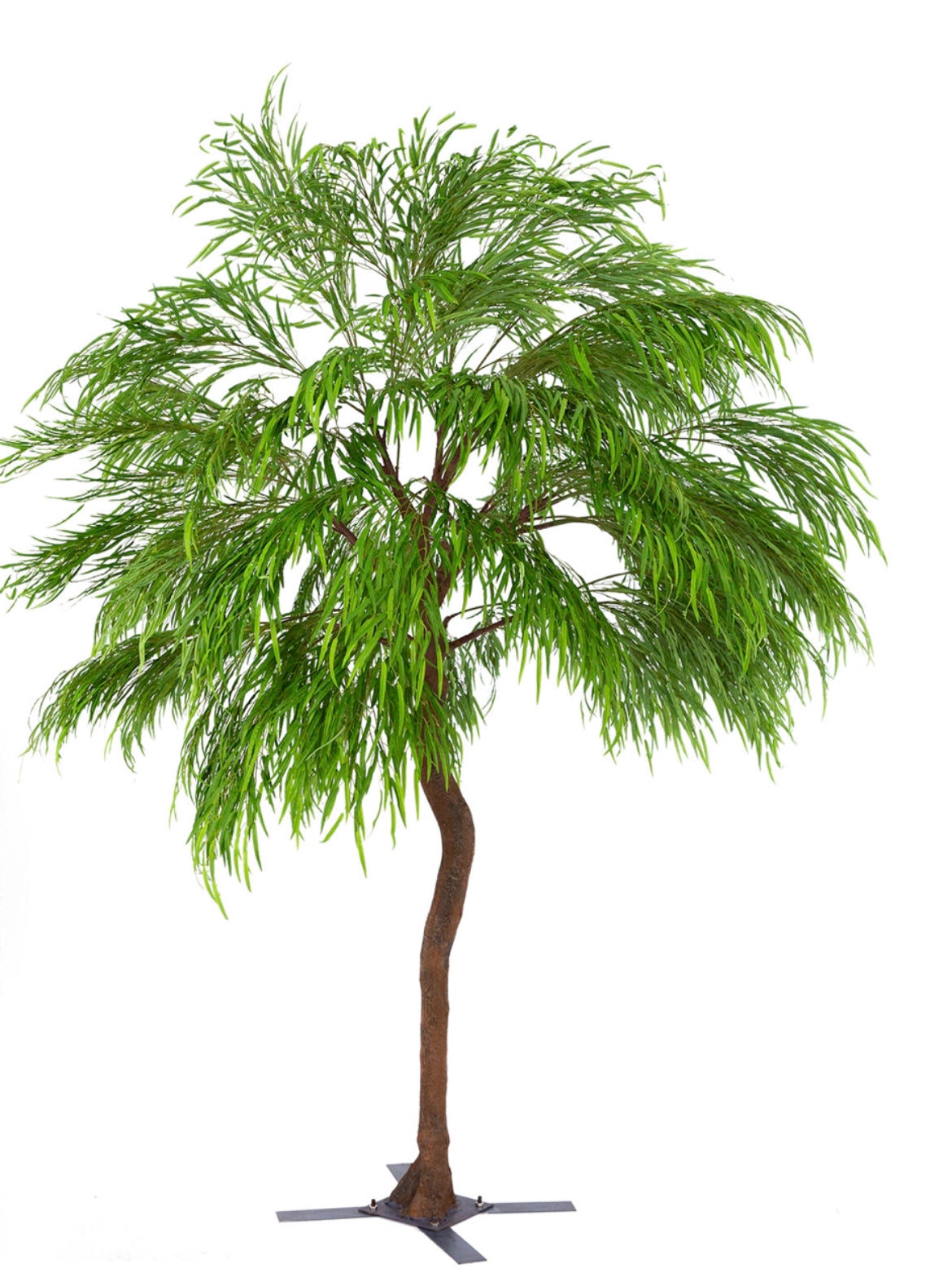 Yallen Green Tree 10ft