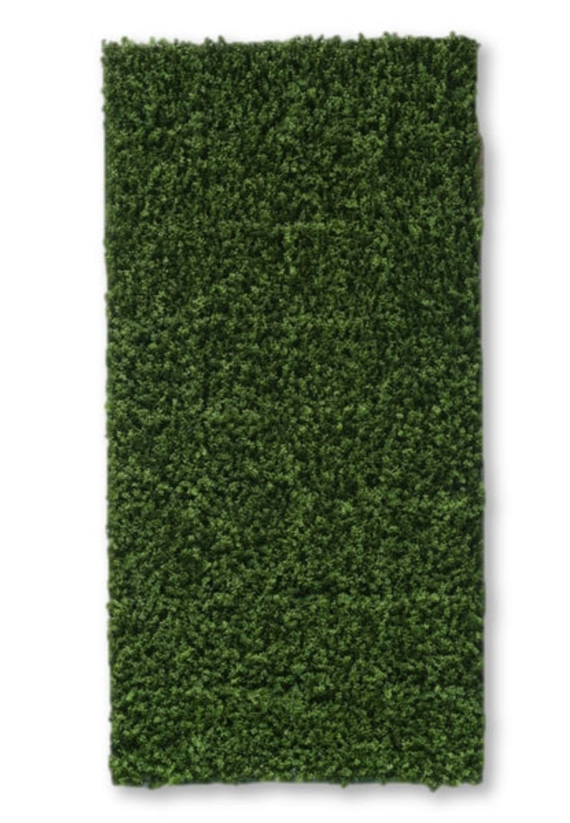 Boxwood Wall