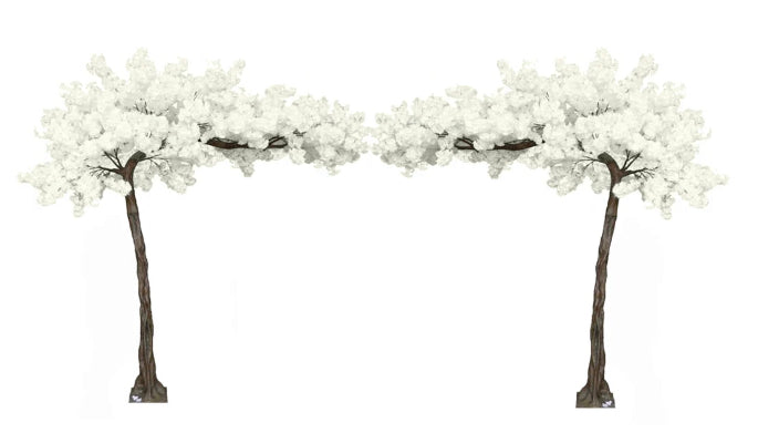 White Tree Kissing