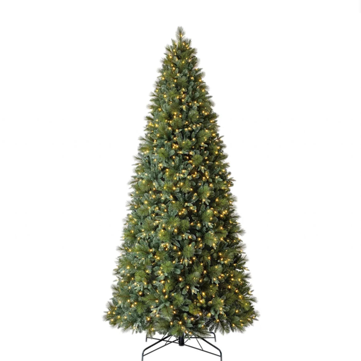 Christmas Tree Ginger