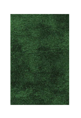 Green Rug