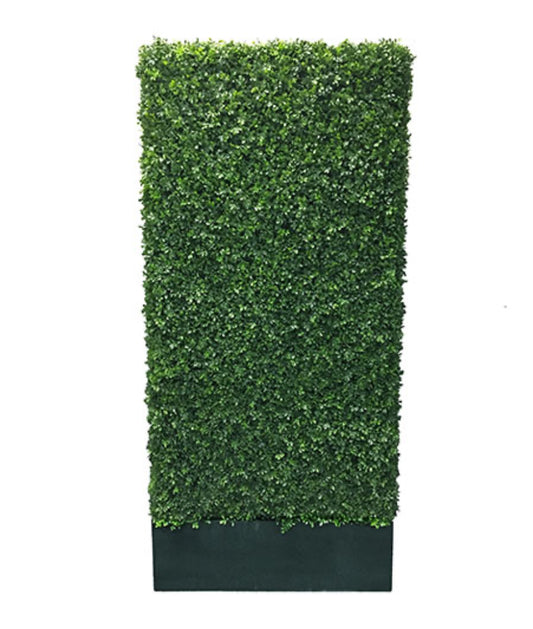 Boxwood Wall Black Border