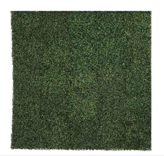 Boxwood Wall