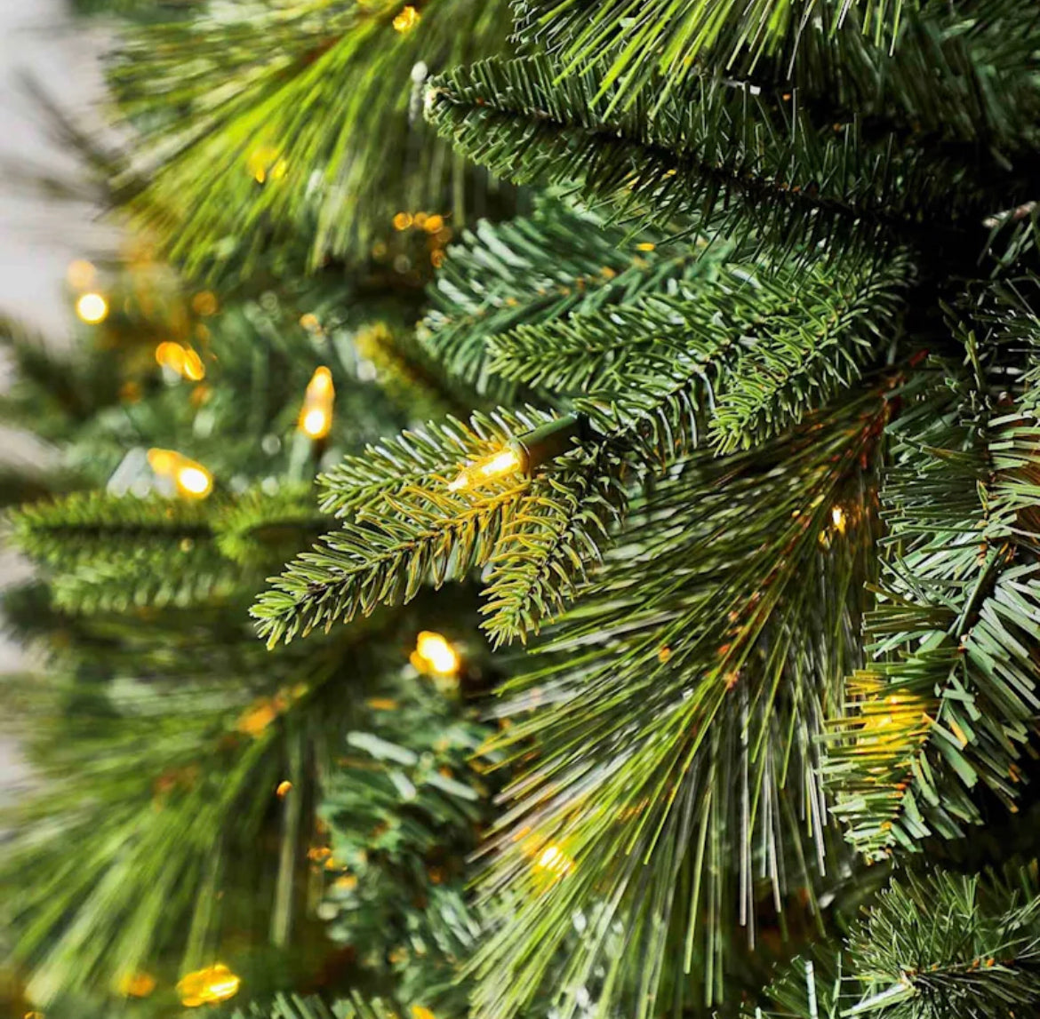 Christmas Tree Ginger